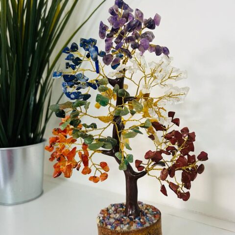 0a5586bb-41e4-4c15-9178-1255143264e4