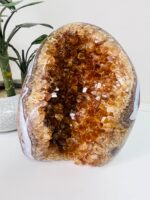 Raw Citrine Geode Genuine AAA + Grade