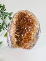 Raw Citrine Geode Genuine AAA + Grade