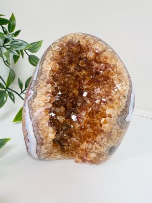 Raw Citrine Geode Genuine AAA + Grade