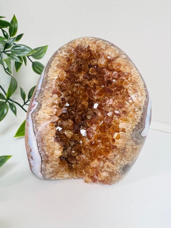 Raw Citrine Geode Genuine AAA + Grade