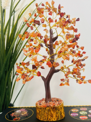 Carnelian crystal tree 300 crystals