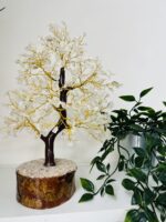 Clear Quartz Crystal Tree 500 crystals
