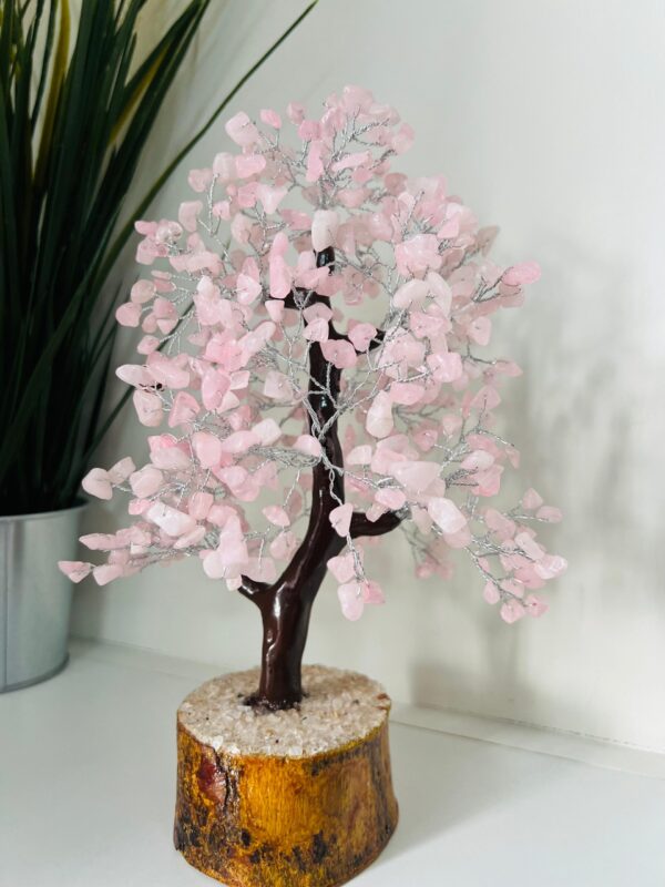 Rose Quartz crystal tree 300 crystals