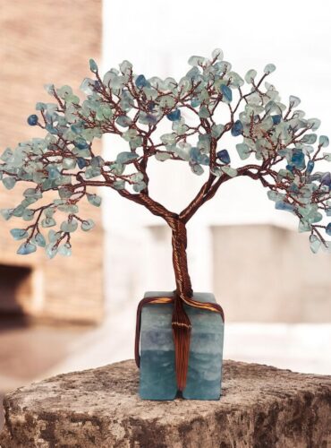 WhatsApp Image 2026-01-13 at 13.15.19