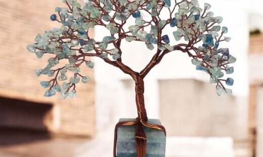 WhatsApp Image 2026-01-13 at 13.15.19