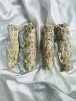 White Sage Smudge Stick