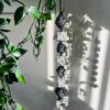 Selenite & Tourmaline Car/Door Hanging - Image 5