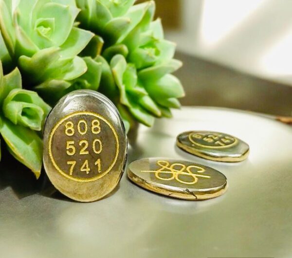 Pyrite Zibe Money Coin