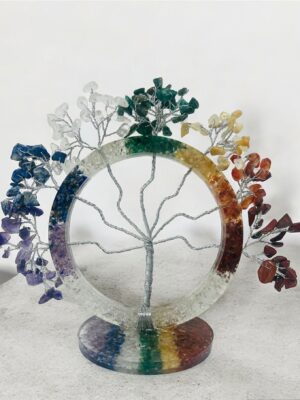 WhatsApp Image 2024-07-12 at 17.34.24