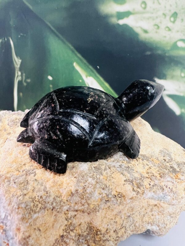 Black Tourmaline Turtle Figurine – Hand-Carved Healing Crystal Stone for Protection, Energy, Luck & Home Decor (50-60g, 6cm)