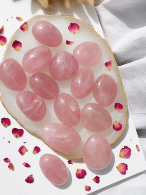 0c051124-96f0-454c-9a8e-52ad6fac9fc6