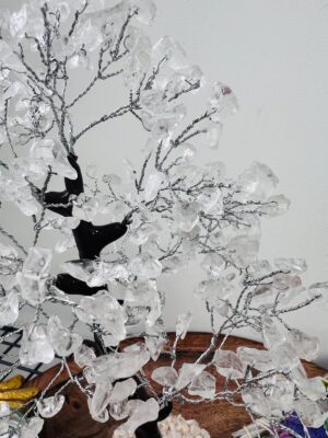 WhatsApp Image 2025-11-04 at 11.43.23