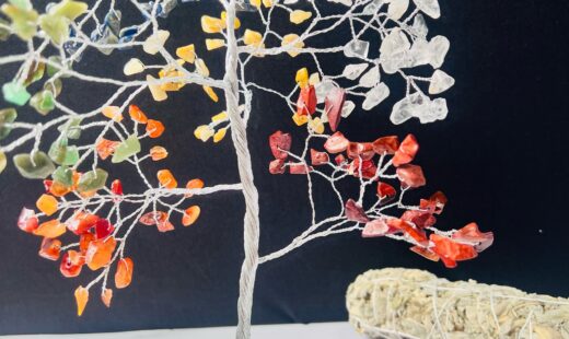 WhatsApp Image 2025-04-09 at 12.37.35