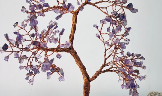 WhatsApp Image 2025-05-01 at 14.56.22 (1)