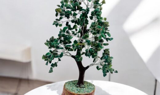 WhatsApp Image 2025-10-31 at 15.37.19 (2)