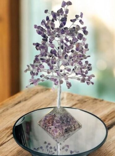 WhatsApp Image 2025-12-09 at 12.14.28