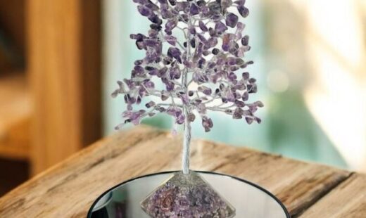 WhatsApp Image 2025-12-09 at 12.14.28