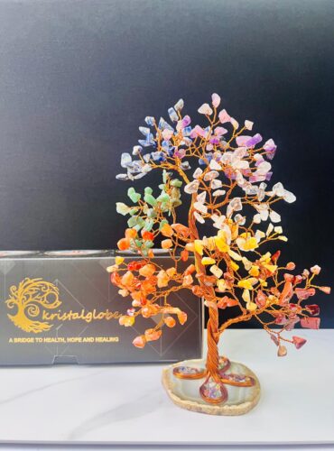 WhatsApp Image 2026-01-13 at 21.47.11