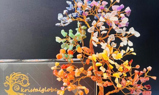 WhatsApp Image 2026-01-13 at 21.47.11