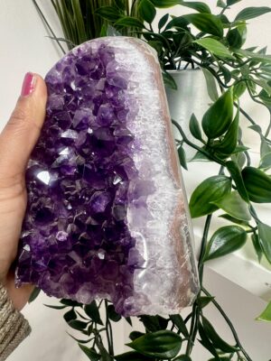 WhatsApp Image 2026-01-14 at 13.09.20