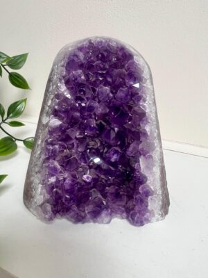 Brazilian Amethyst Geode 5"-  Natural Purple Quartz Crystal Cluster