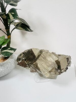 WhatsApp Image 2026-01-14 at 14.25.10