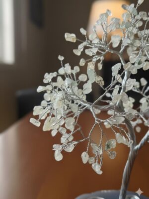 WhatsApp Image 2026-01-23 at 15.57.54 (3)