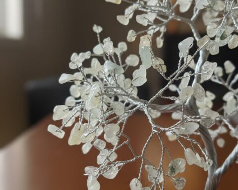 WhatsApp Image 2026-01-23 at 15.57.54 (3)