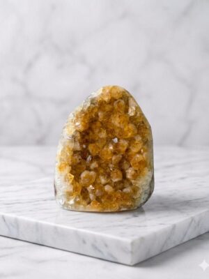 il_1588xN.8009387441_dl65