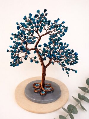 WhatsApp Image 2026-02-03 at 12.00.56 (1)