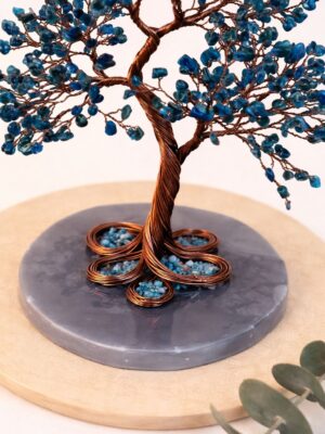 WhatsApp Image 2026-02-03 at 12.01.14 (1)