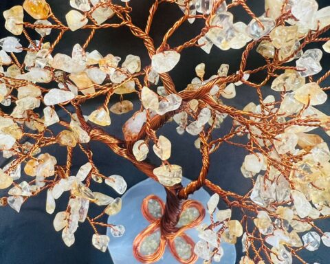 WhatsApp Image 2026-02-03 at 13.11.39