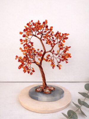 WhatsApp Image 2026-02-10 at 10.52.50 (2)