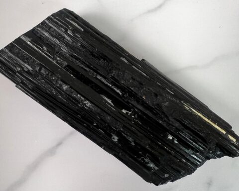 WhatsApp Image 2026-02-11 at 13.28.49 (2)