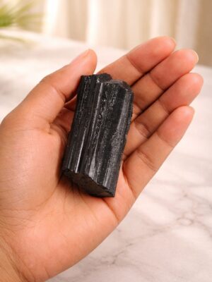 WhatsApp Image 2026-02-11 at 14.13.28