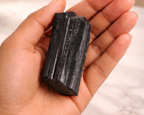 WhatsApp Image 2026-02-11 at 14.13.28