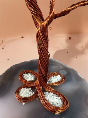 WhatsApp Image 2026-02-18 at 14.00.19 (1)