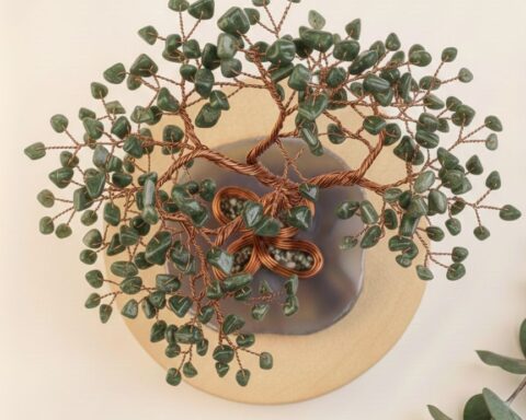 WhatsApp Image 2026-03-04 at 12.39.22