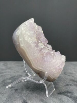 WhatsApp Image 2026-03-16 at 13.20.06 (1)