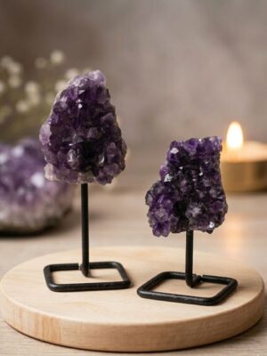 WhatsApp Image 2026-03-16 at 14.03.04