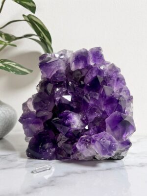 Brazilian Amethyst Geode – Natural Purple Quartz Crystal Cluster