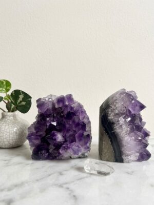 WhatsApp Image 2026-03-16 at 14.45.08