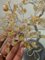 Citrine crystal Tree 300 crystals